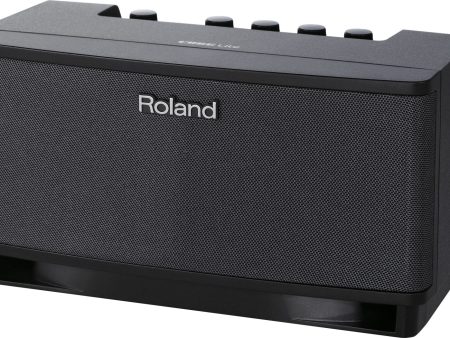 Roland CUBE-LT Lite Tabletop Monitor Amplifier, Black Supply