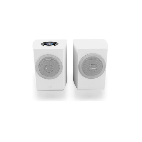 Cabasse Rialto Wireless Bookshelf Speaker (Pair) Online Hot Sale