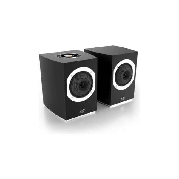 Cabasse Rialto Wireless Bookshelf Speaker (Pair) Online Hot Sale