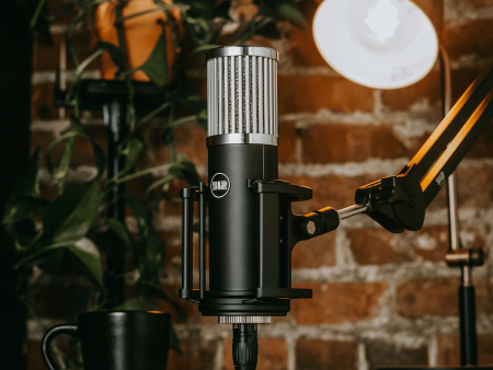 512 Audio Skylight Microphone (Pre-Order) Online now